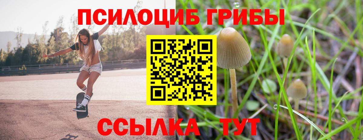 Галлюциногенные грибы MAGIC MUSHROOMS Нижнеудинск